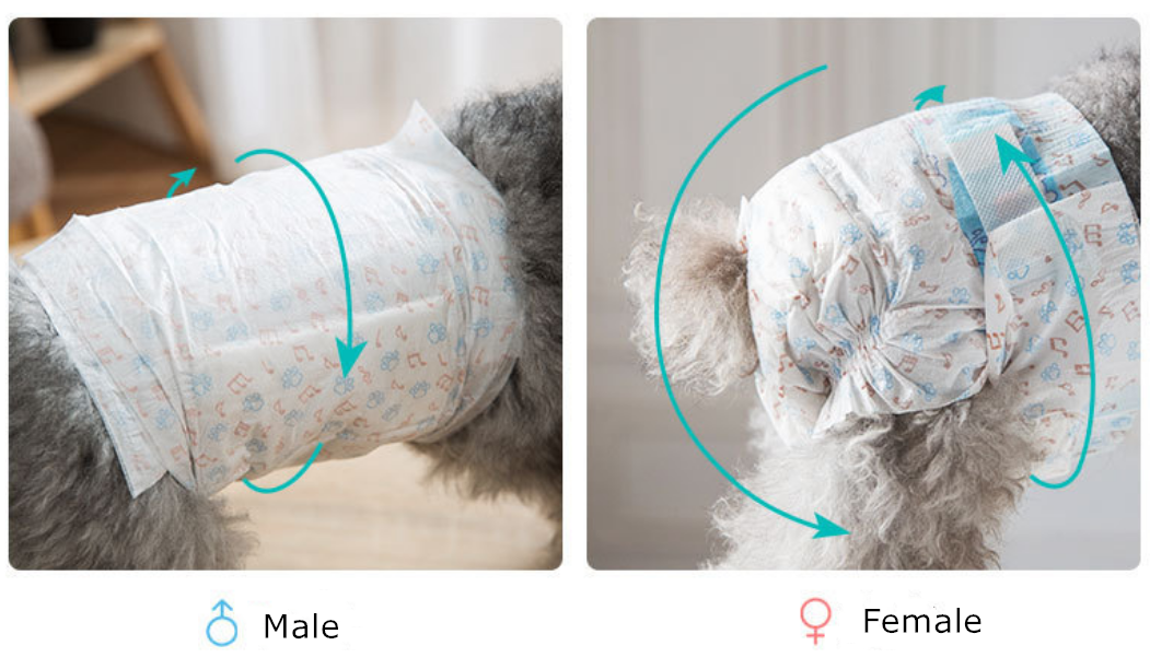 Puppy Disposable Diaper Meetopet