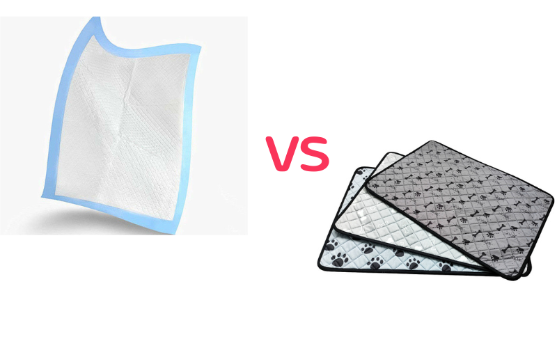 The Pros and Cons of Disposable vs. Reusable Pet Pee Pads Meetopet