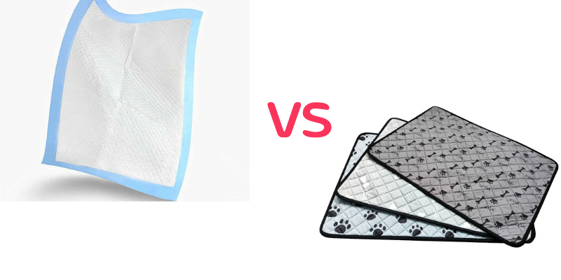 Disposable Vs. Reusable Pet Pee Pads