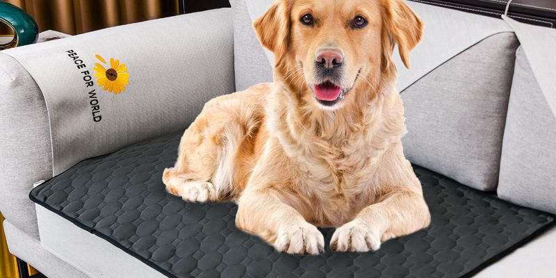 Reusable Puppy Pee Pads